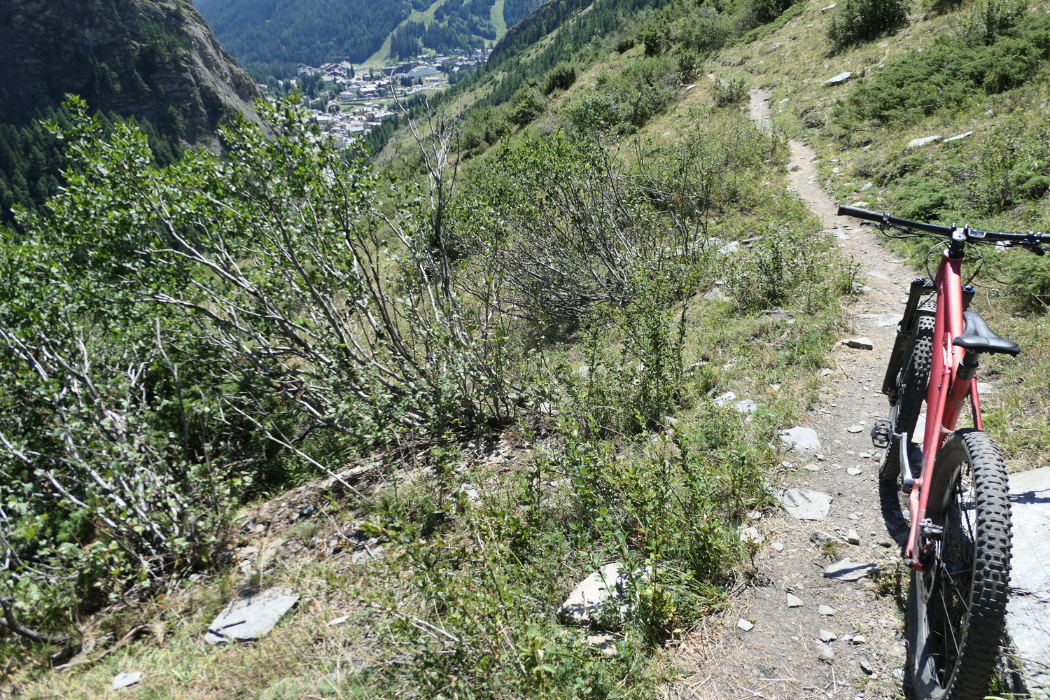p1030364.jpg