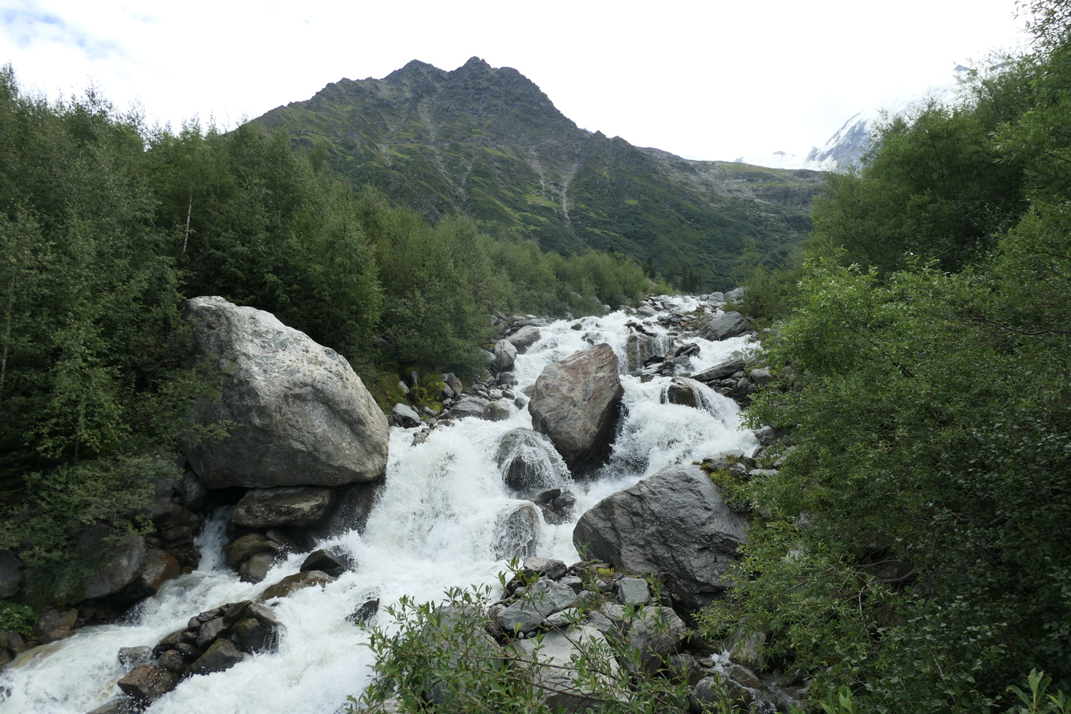 p1030427.jpg