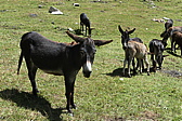 p1030345.jpg
