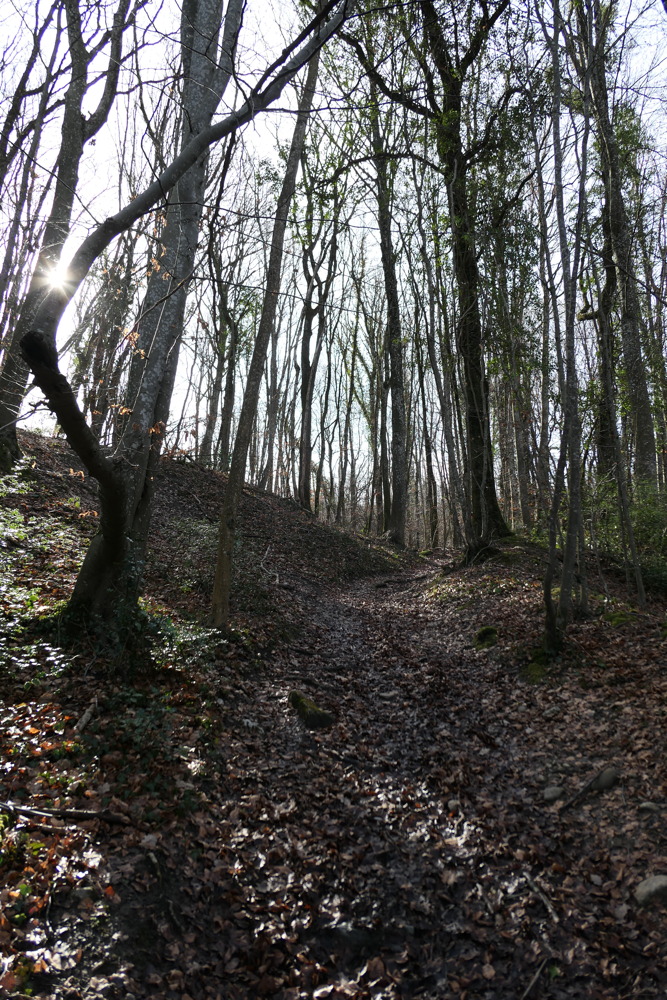 p1020206.jpg