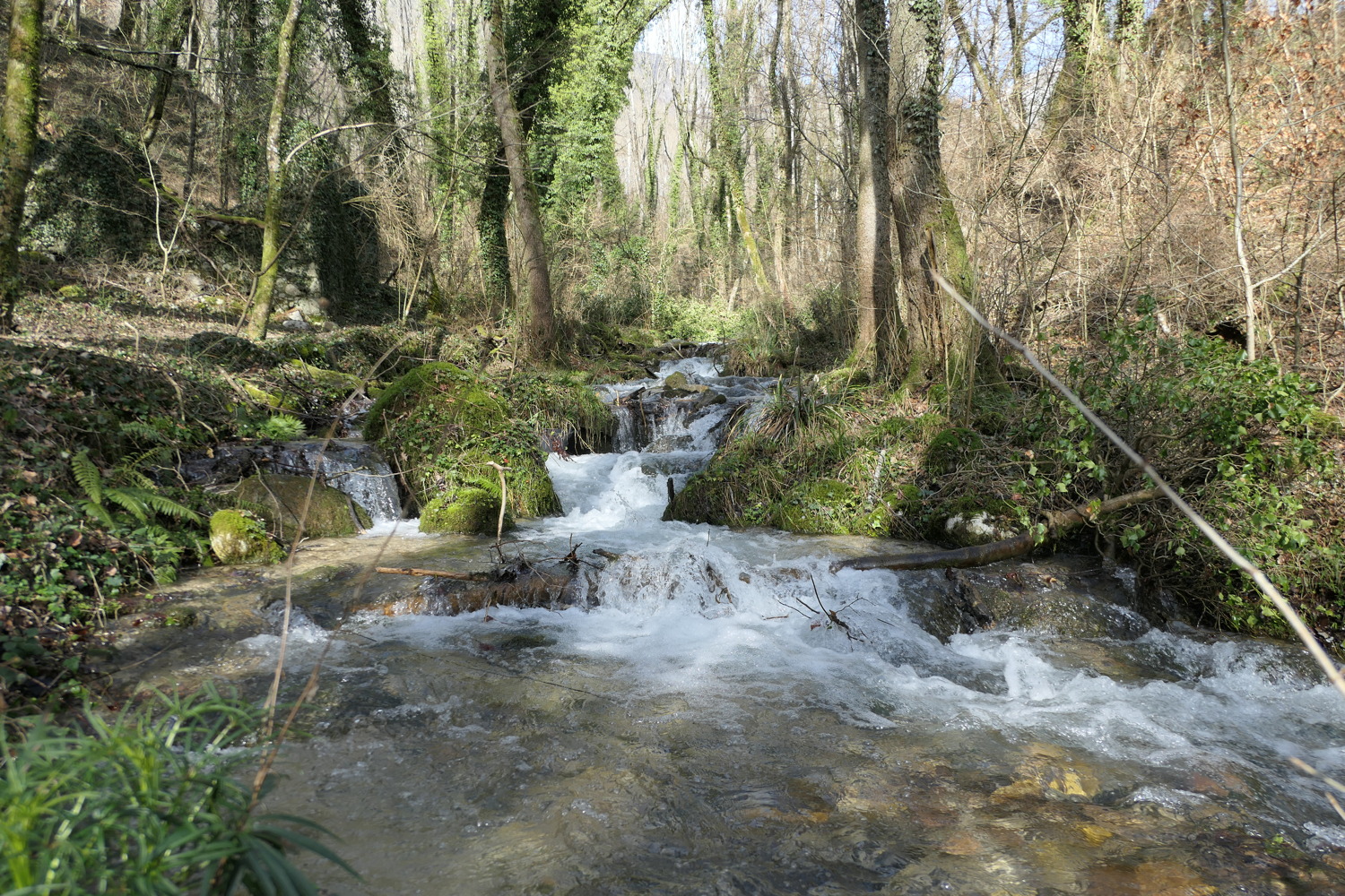 p1020214.jpg