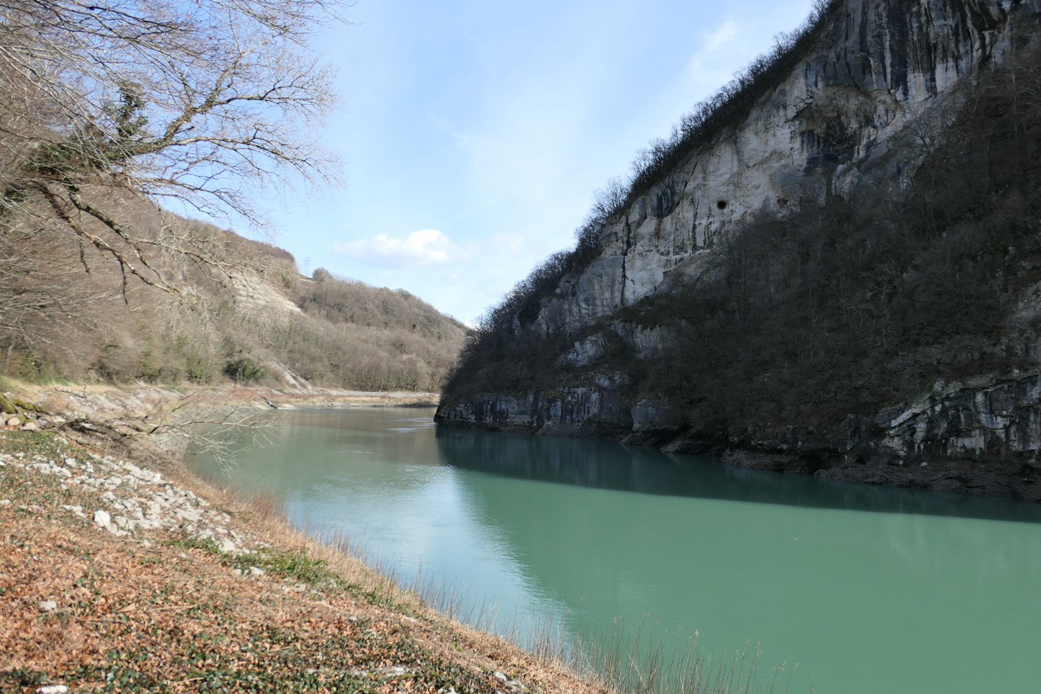 p1020219.jpg