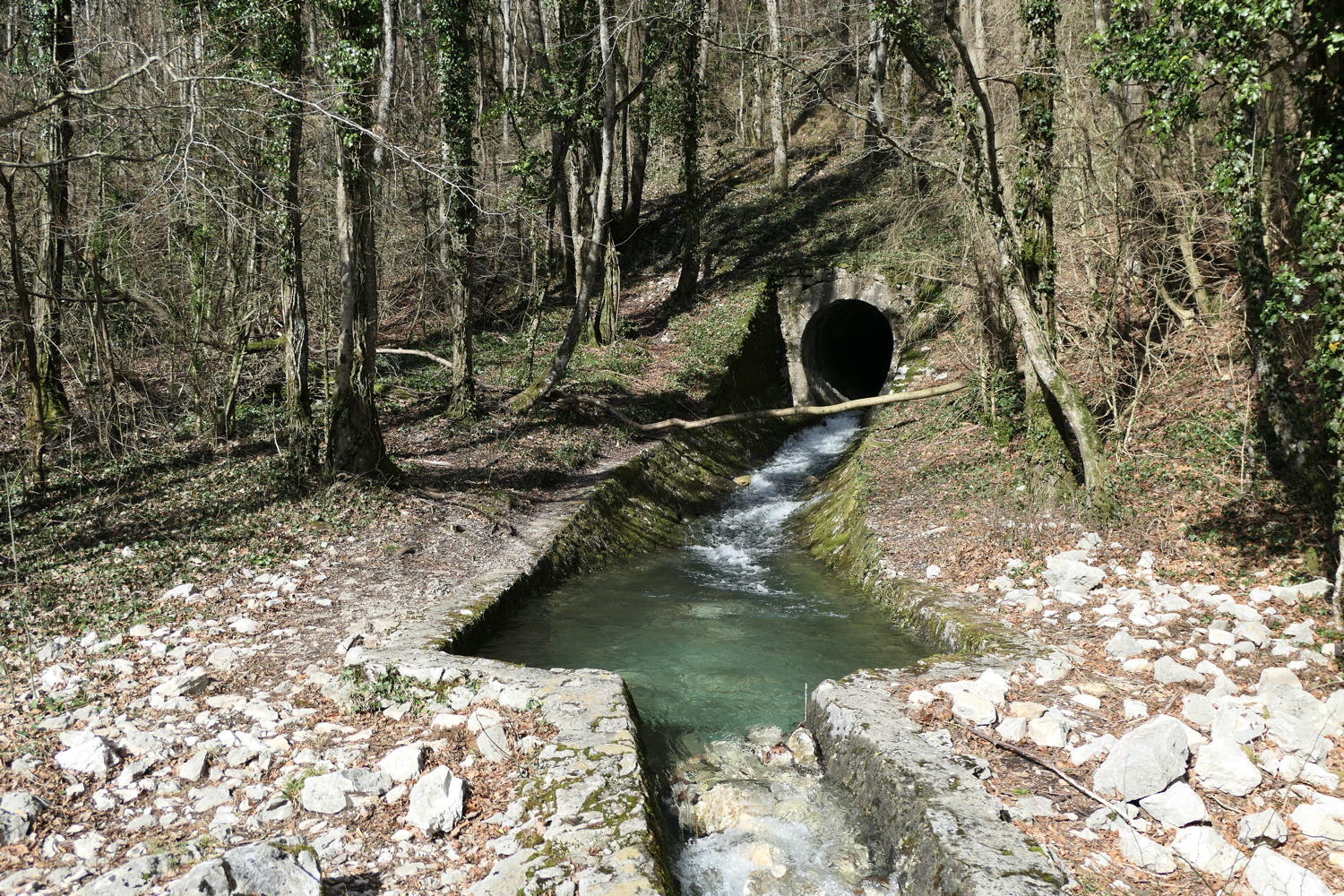 p1020221.jpg