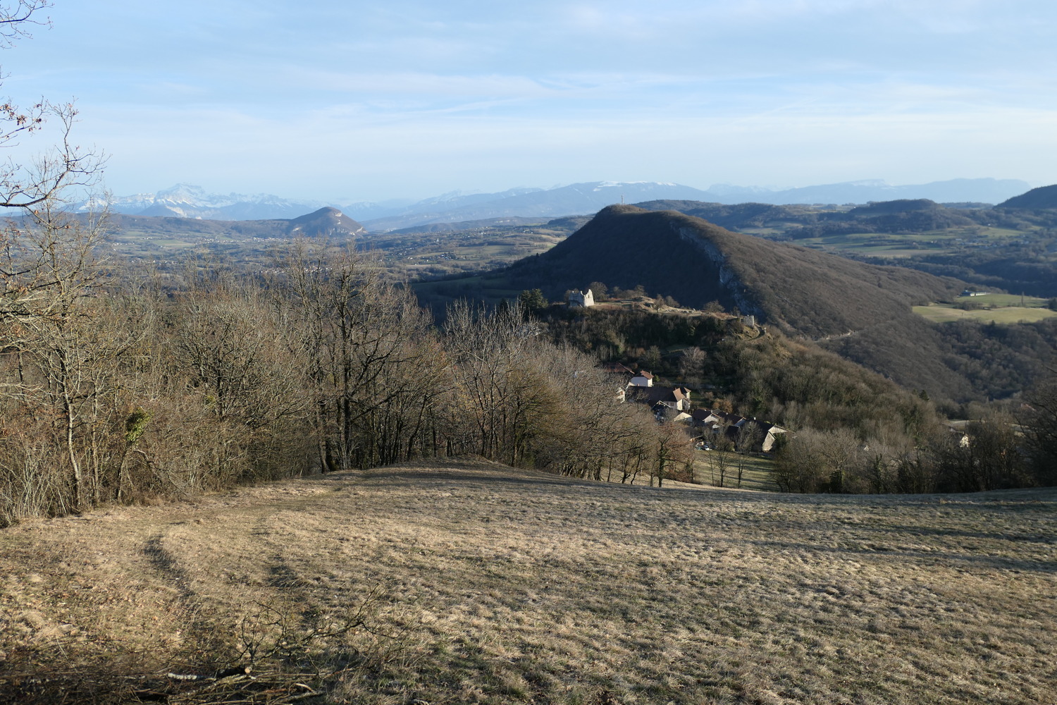 p1020241.jpg