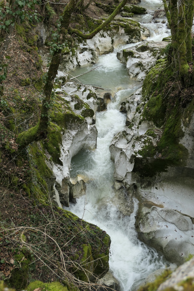 p1020247.jpg