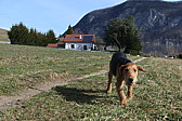 p1020202.jpg