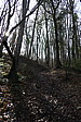 p1020206.jpg
