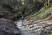 p1020207.jpg