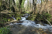 p1020214.jpg