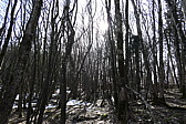 p1020225.jpg