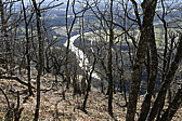 p1020226.jpg
