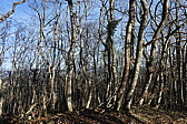 p1020234.jpg