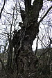 p1020249.jpg