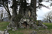 p1020251.jpg