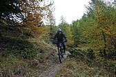 p1030732.jpg