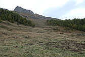 p1030749.jpg