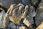 p1030207.jpg