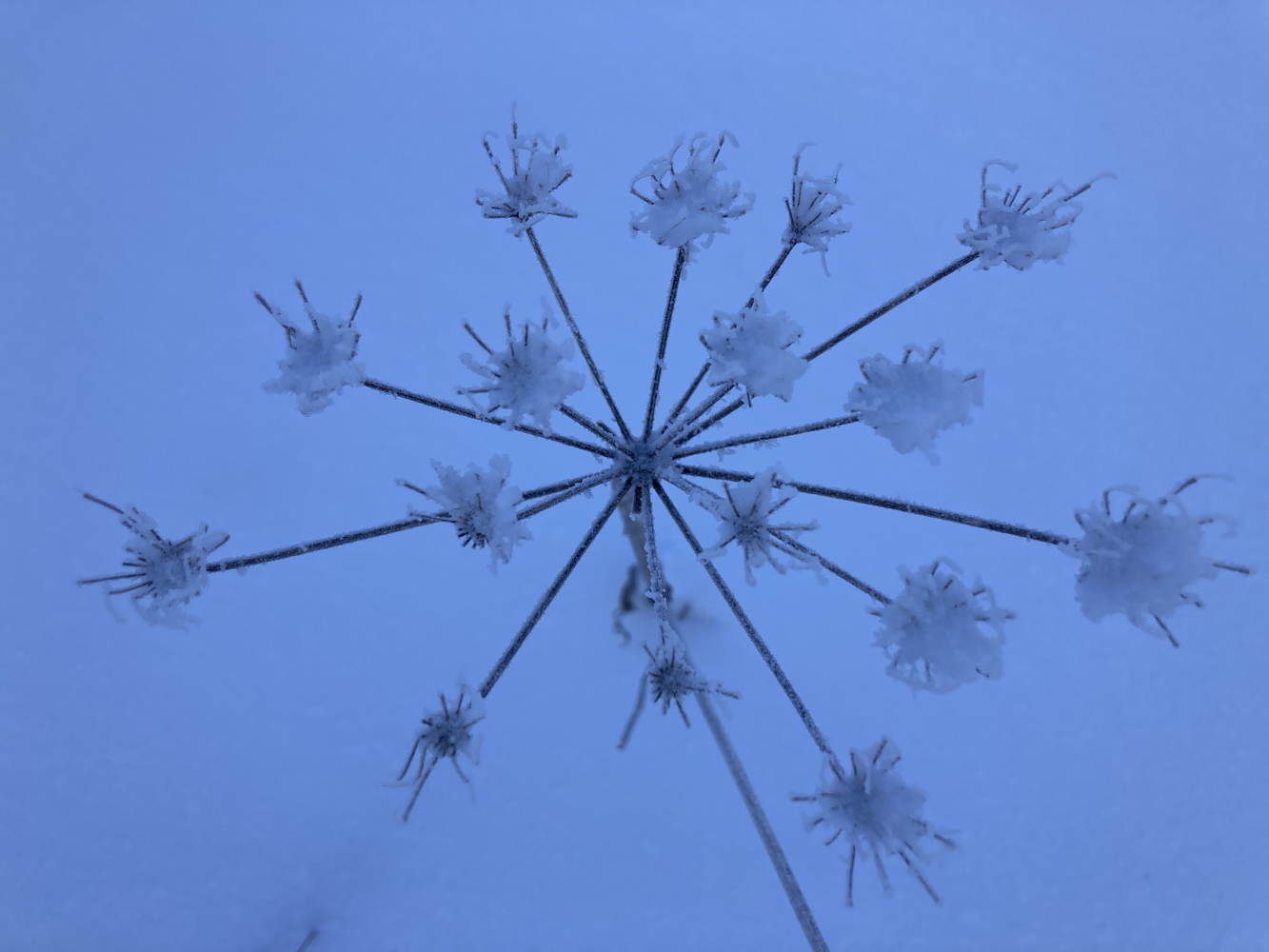 p1040815y.jpg