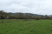 p1050617.jpg