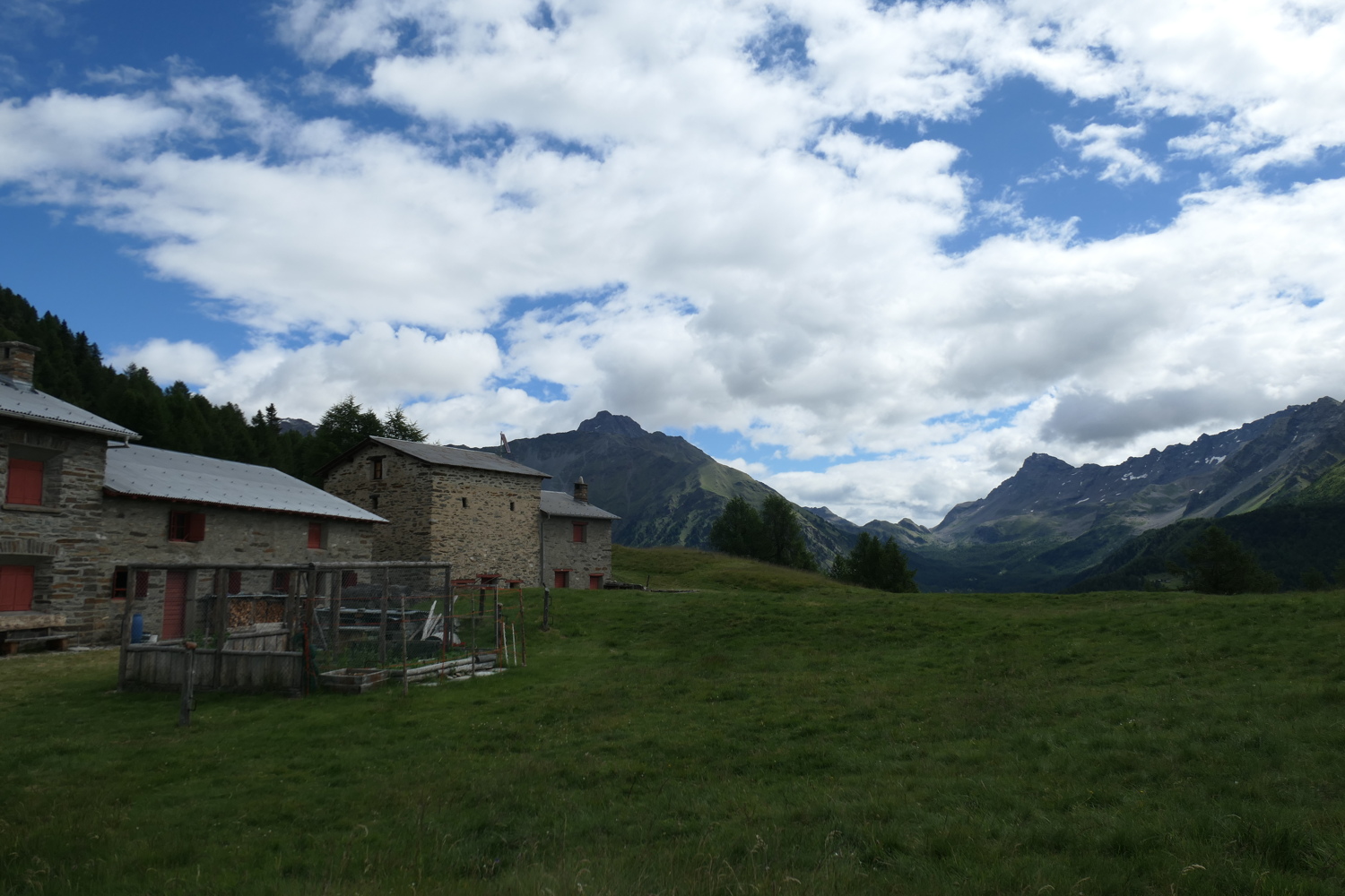 p1060186.jpg