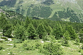 p1060166.jpg