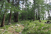 p1060184.jpg