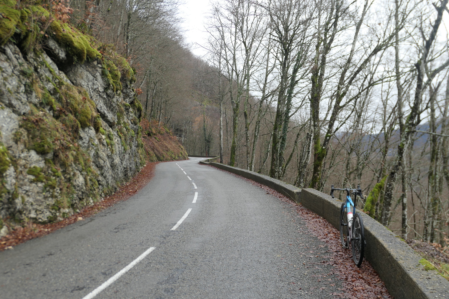 p1080166.jpg