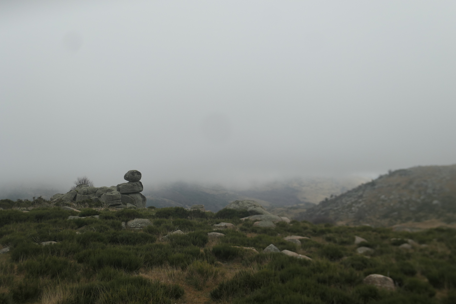 p1080336.jpg