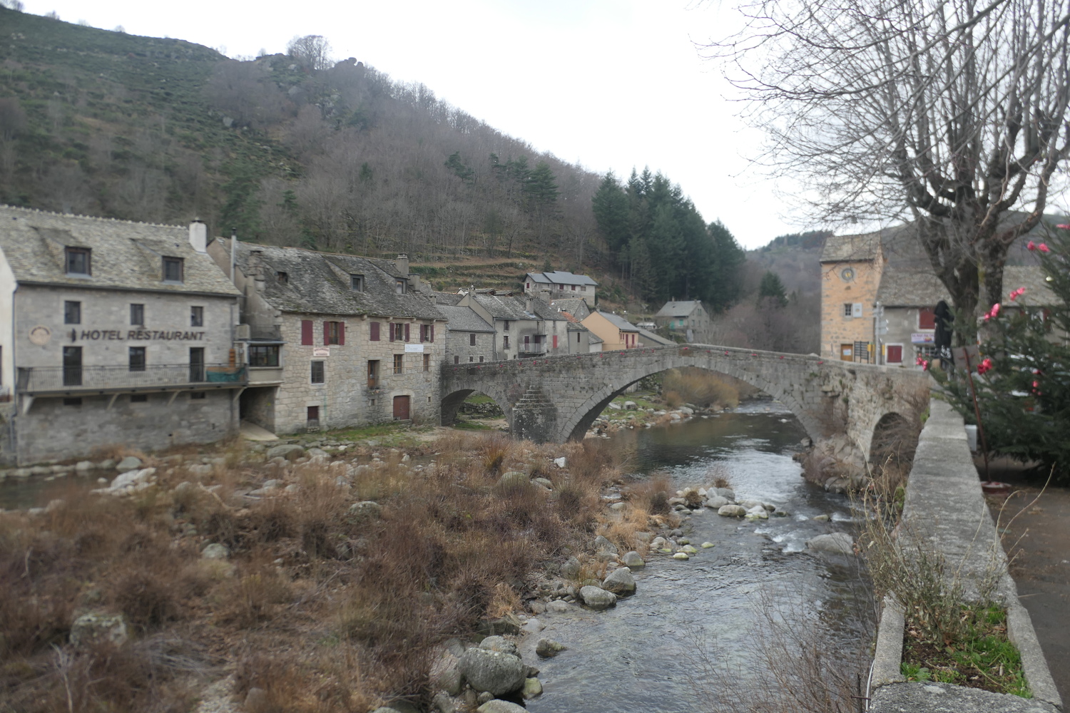 p1080339.jpg
