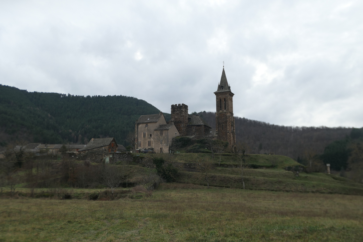 p1080343.jpg