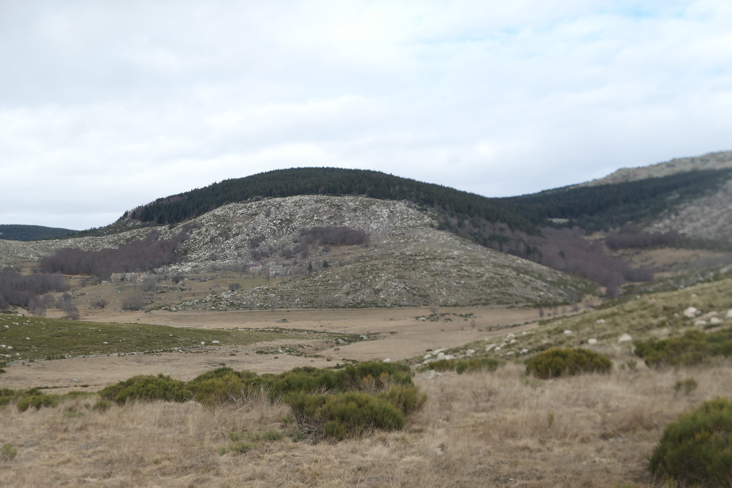 p1080350.jpg