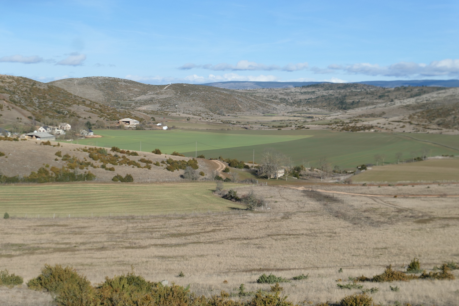 p1080384.jpg