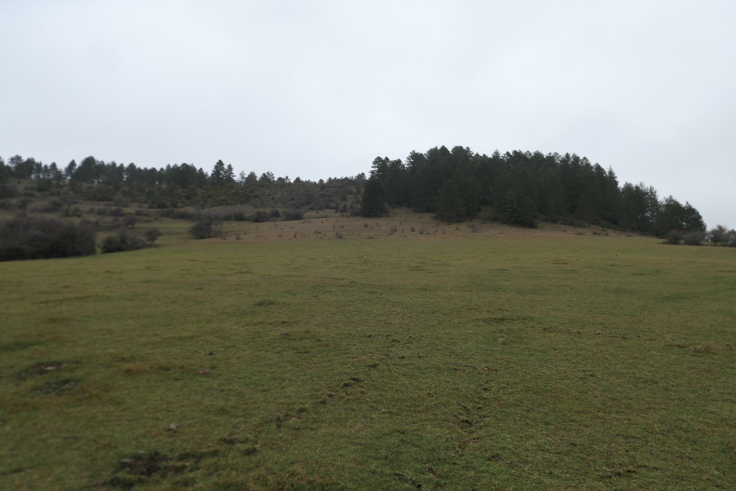 p1080400.jpg
