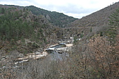 p1080342.jpg