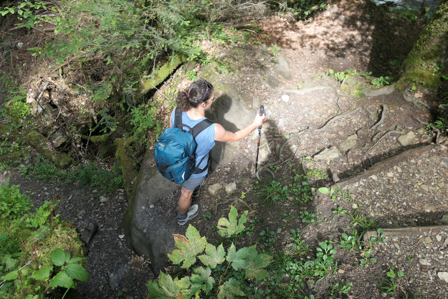 p1060534.jpg