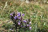 p1060513.jpg