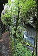 p1060538.jpg