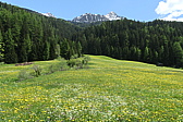 p1050796.jpg
