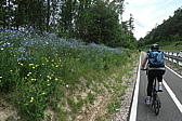 p1050851.jpg