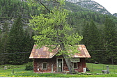 p1050869.jpg