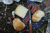 p1050952.jpg