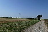 p1050977.jpg
