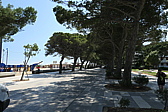 p1050988.jpg
