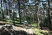 p1060005.jpg