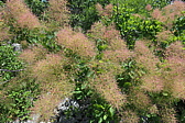 p1060013.jpg