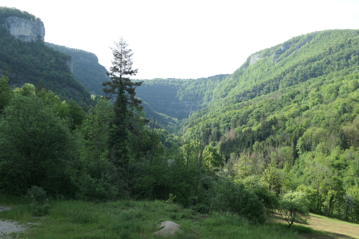 p1050722.jpg