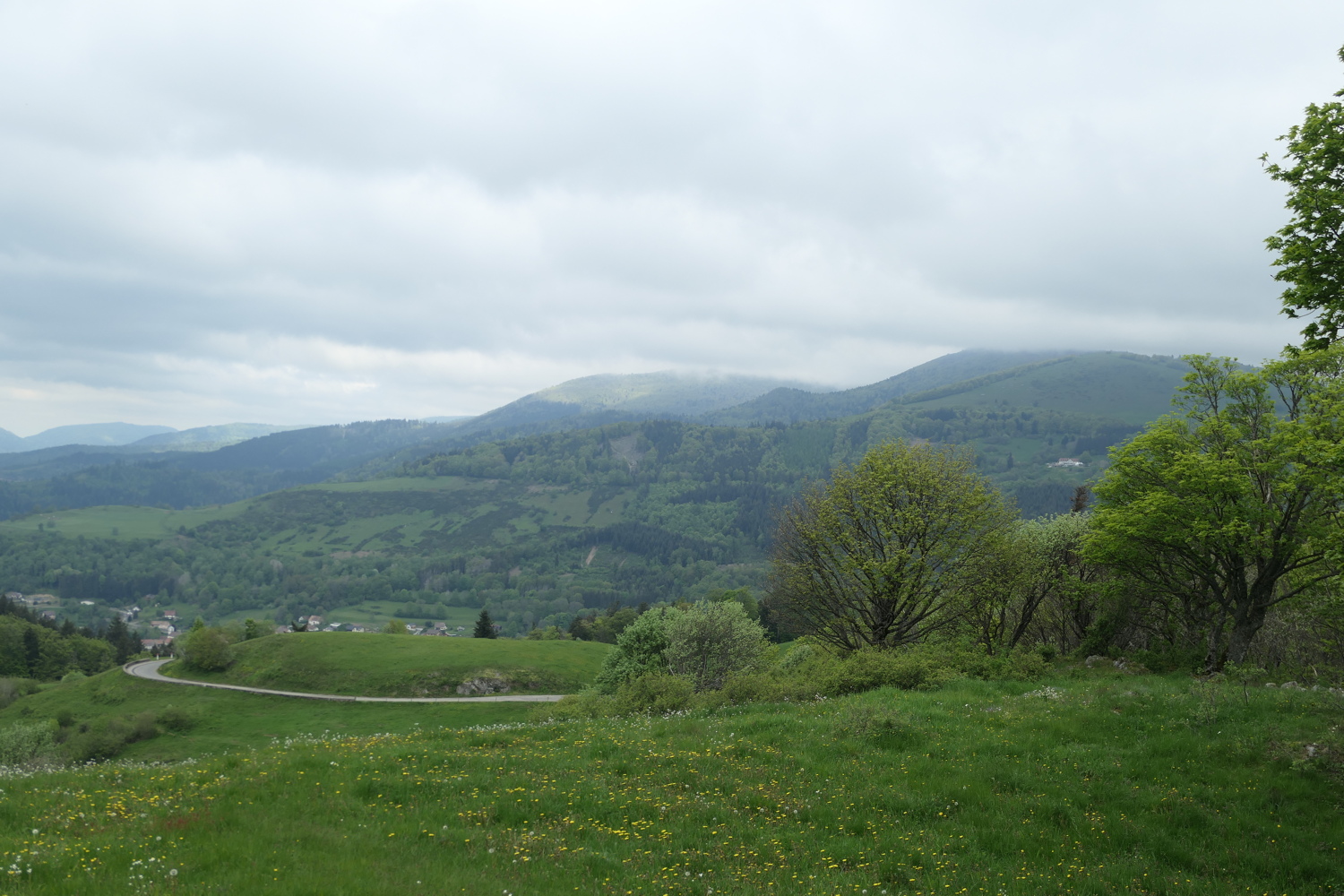 p1050763.jpg