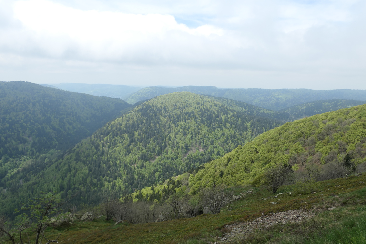 p1050771.jpg