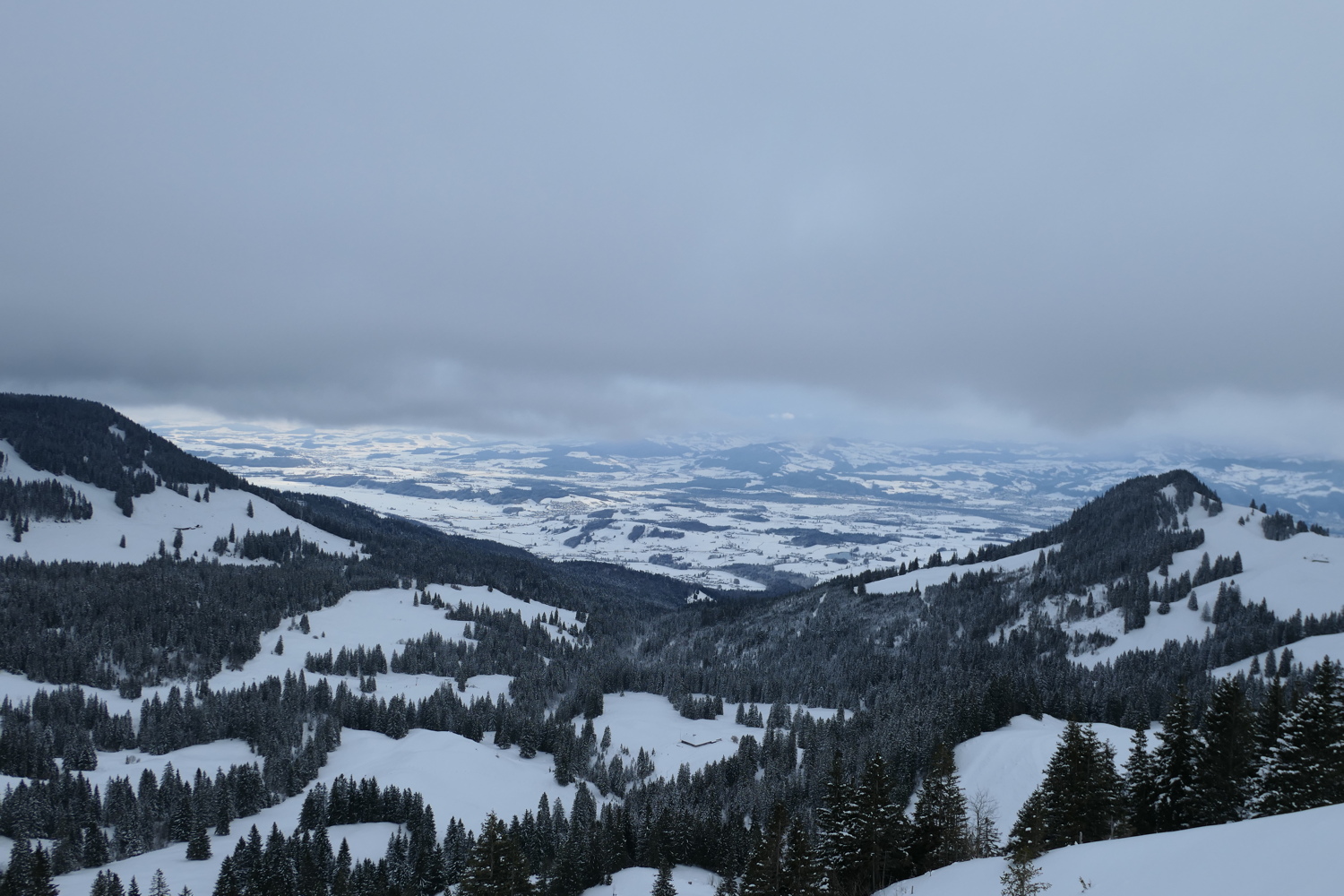 p1050102.jpg