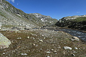 p1060139.jpg